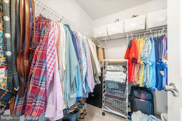 walk in closet featuring carpet flooring