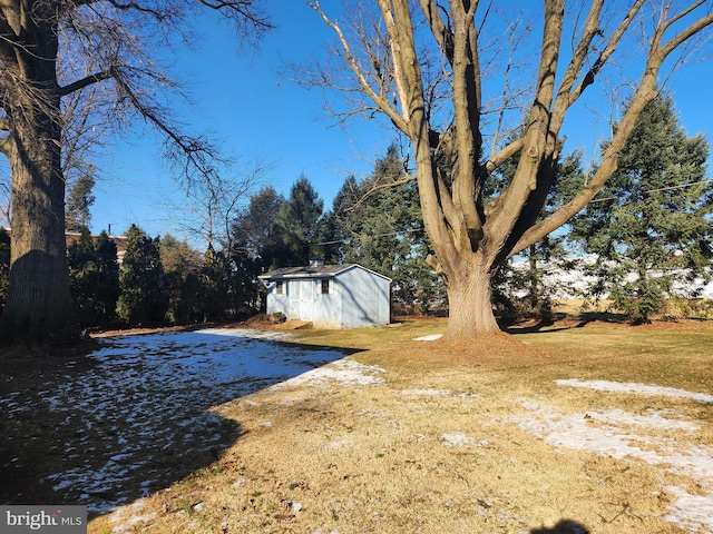 view of yard with a storage shed