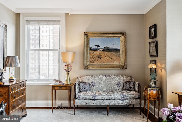 living area featuring ornamental molding