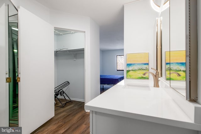 spacious closet with dark hardwood / wood-style flooring and sink