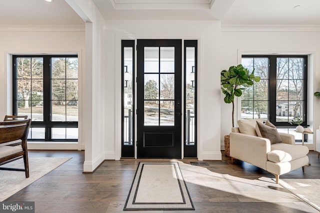 foyer featuring ornamental molding and dark hardwood / wood-style floors