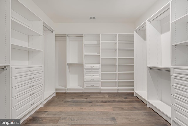 spacious closet featuring dark hardwood / wood-style floors