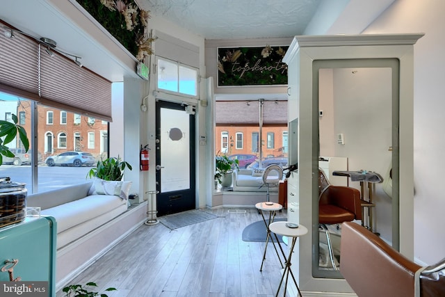 entryway featuring a healthy amount of sunlight and light hardwood / wood-style flooring