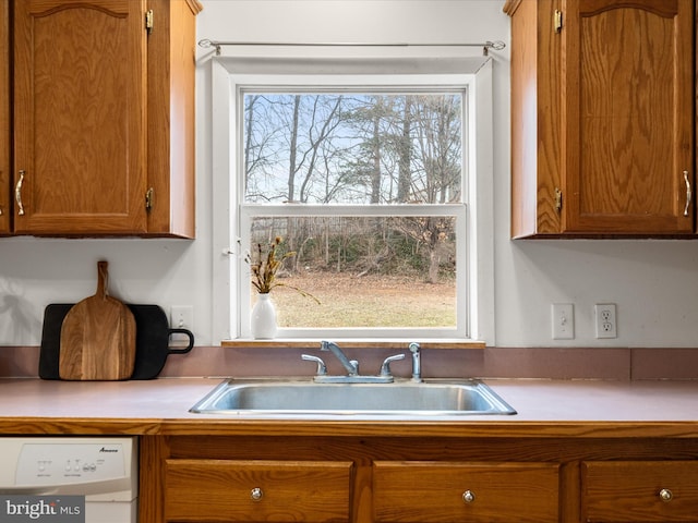 kitchen featuring white dishwasher and sink