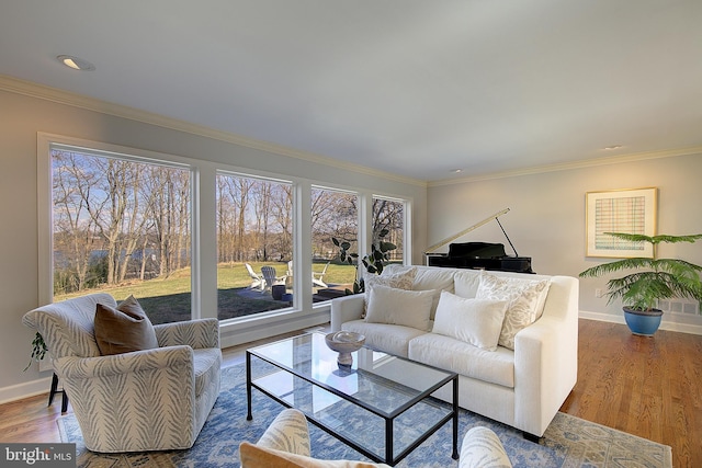 living room featuring hardwood / wood-style flooring and ornamental molding