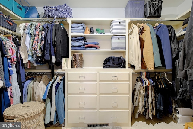 view of spacious closet