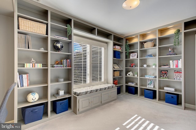 interior space featuring light colored carpet