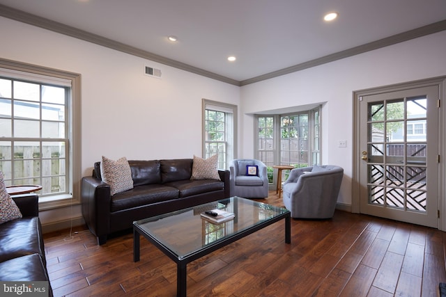 living room featuring crown molding and dark hardwood / wood-style flooring