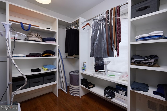 spacious closet with dark wood-type flooring