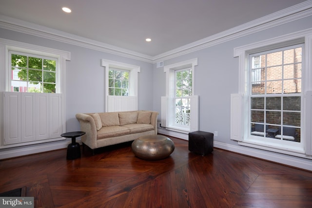 living area featuring ornamental molding, plenty of natural light, and parquet flooring