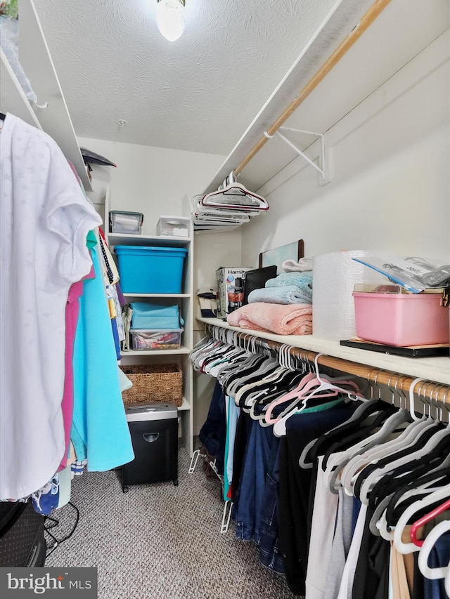 walk in closet featuring carpet