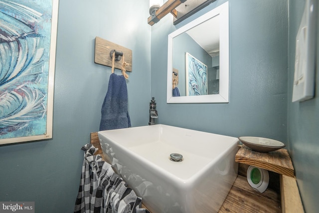 bathroom featuring hardwood / wood-style flooring