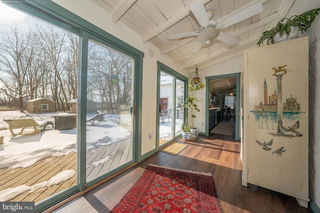 entryway featuring lofted ceiling with beams, ceiling fan, dark hardwood / wood-style floors, and wood ceiling