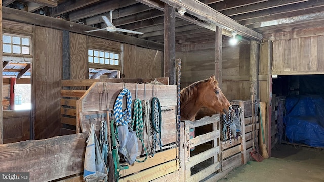 view of stable