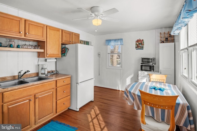 kitchen with white refrigerator, a healthy amount of sunlight, dark hardwood / wood-style flooring, and sink