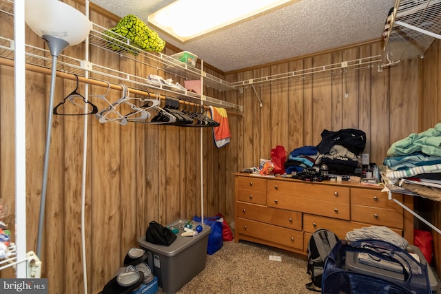 walk in closet featuring carpet flooring