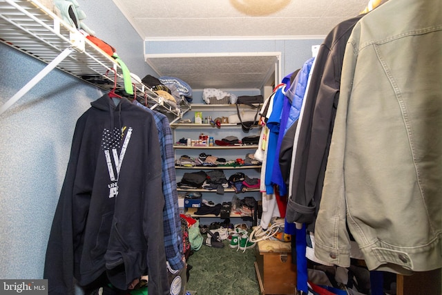 view of spacious closet