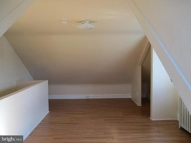 additional living space featuring lofted ceiling and wood-type flooring