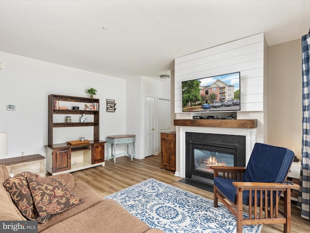 living room featuring a large fireplace and light hardwood / wood-style flooring