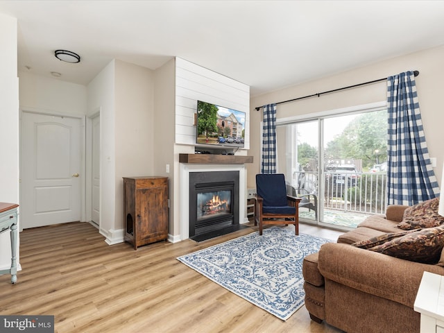 living room featuring light hardwood / wood-style floors