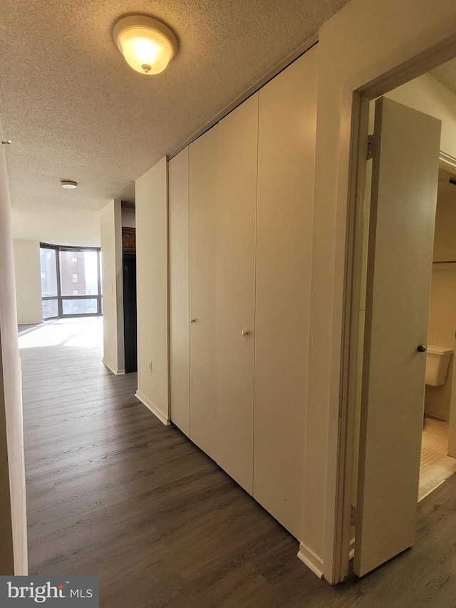 corridor featuring expansive windows, dark hardwood / wood-style flooring, and a textured ceiling