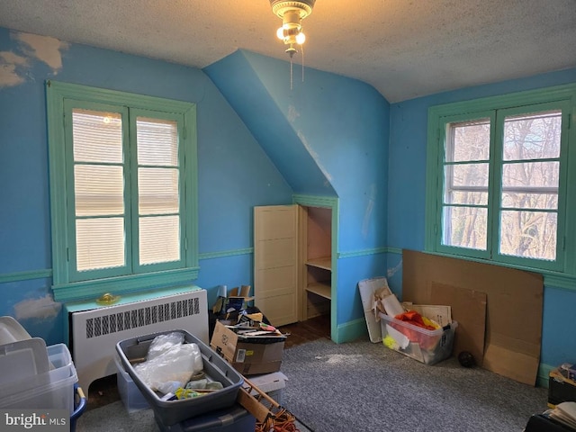 additional living space featuring vaulted ceiling, carpet flooring, radiator heating unit, and a textured ceiling