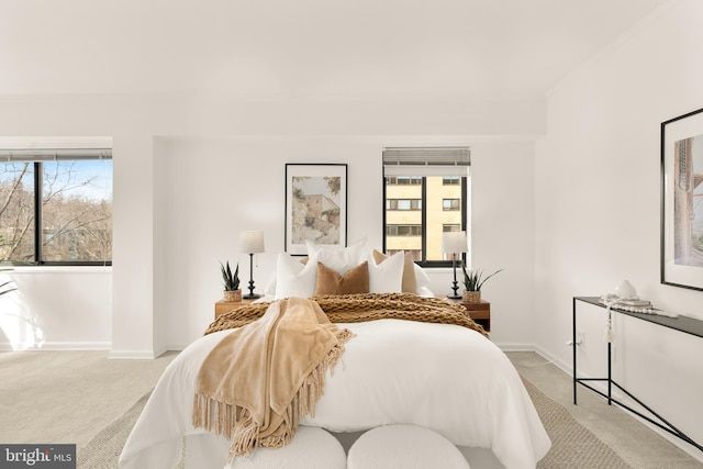 bedroom featuring multiple windows and light colored carpet