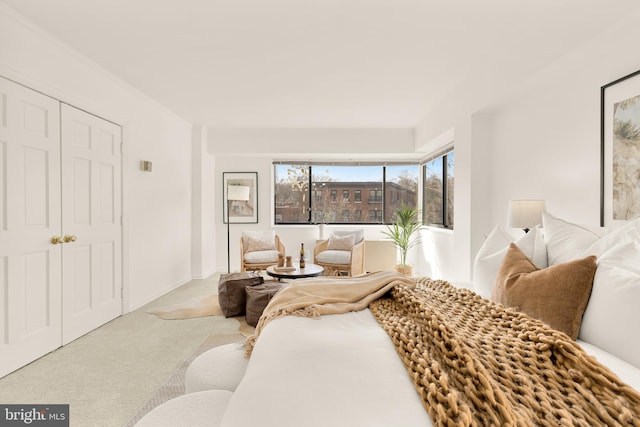 bedroom with carpet floors and a closet