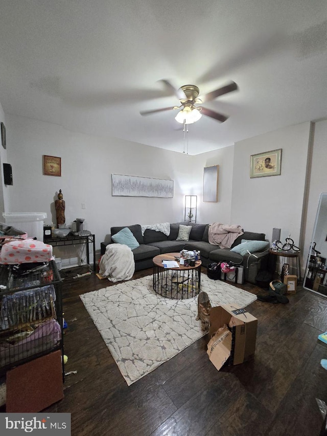 living room featuring ceiling fan and dark hardwood / wood-style floors