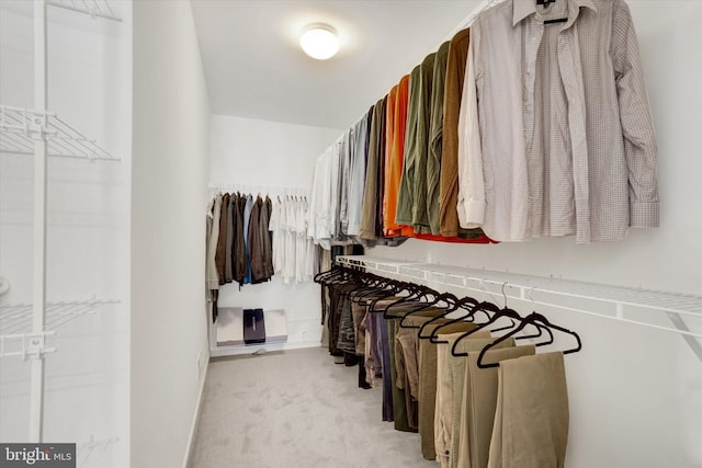 spacious closet with light carpet