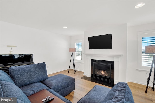 living room with wood-type flooring