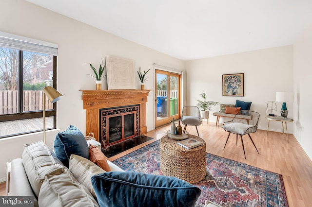 living room featuring wood-type flooring and a wealth of natural light