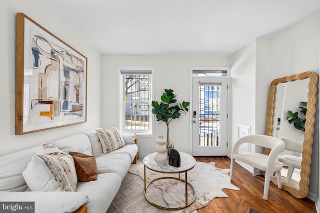 living room featuring hardwood / wood-style flooring