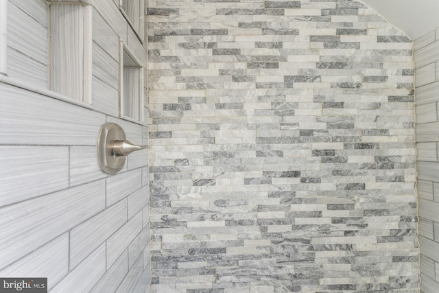 interior details featuring walk in shower