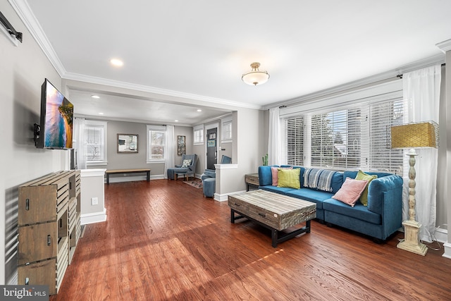 living room featuring wood-type flooring, a healthy amount of sunlight, and crown molding