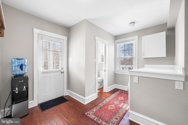 foyer entrance with a healthy amount of sunlight and dark hardwood / wood-style flooring