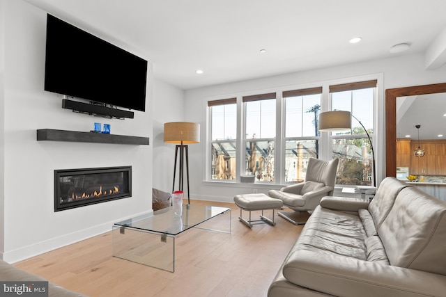 living room featuring light hardwood / wood-style floors