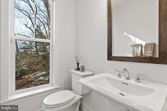 bathroom featuring a healthy amount of sunlight, sink, and toilet