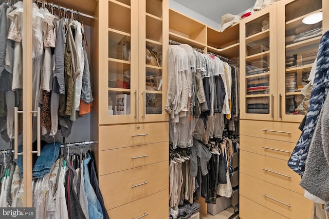 view of walk in closet