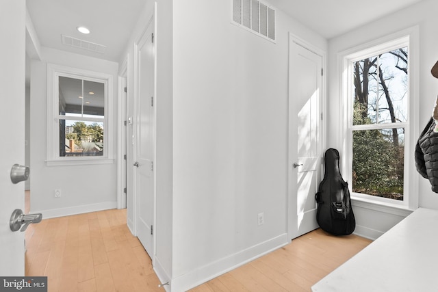 bedroom featuring multiple windows and light wood-type flooring