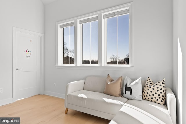 living room with light hardwood / wood-style floors