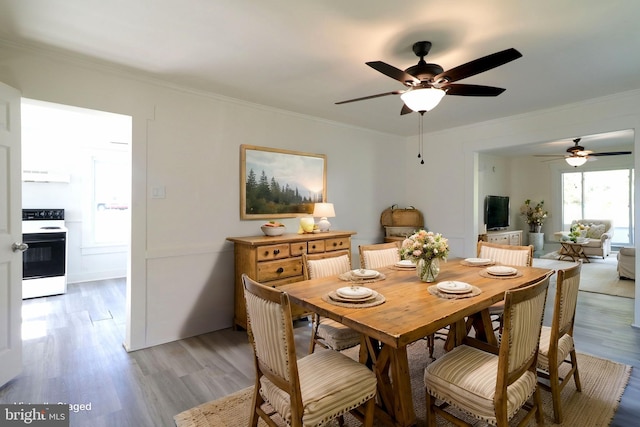 dining space featuring light wood-style floors and crown molding