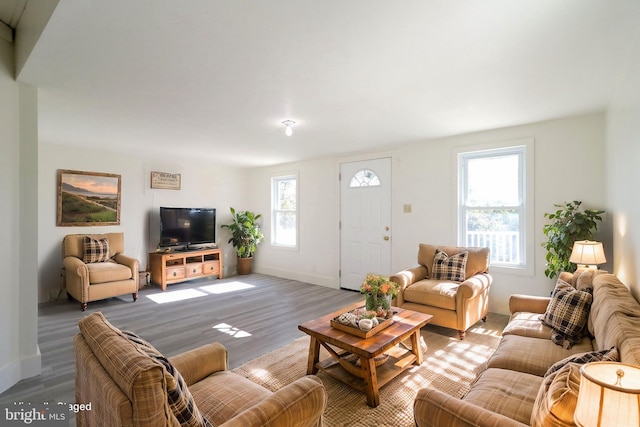 living area with baseboards and wood finished floors