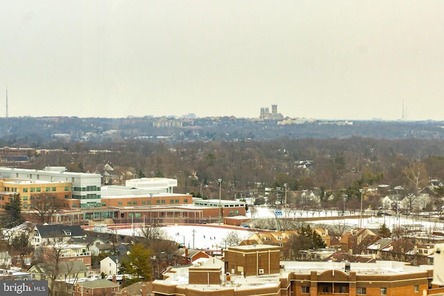 bird's eye view