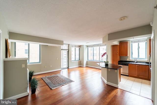 kitchen featuring light hardwood / wood-style floors, a wealth of natural light, stainless steel dishwasher, and a kitchen island