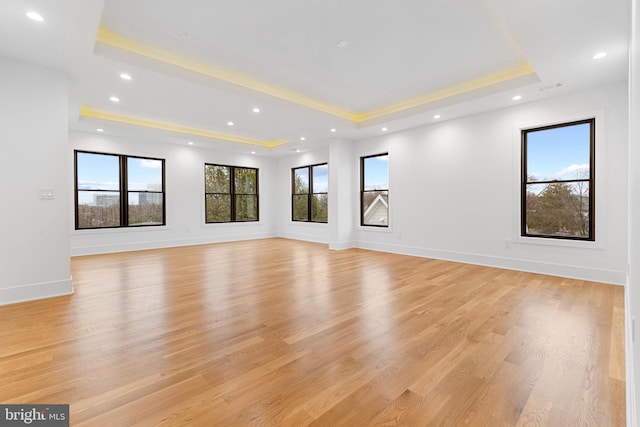 spare room with a raised ceiling and light wood-type flooring