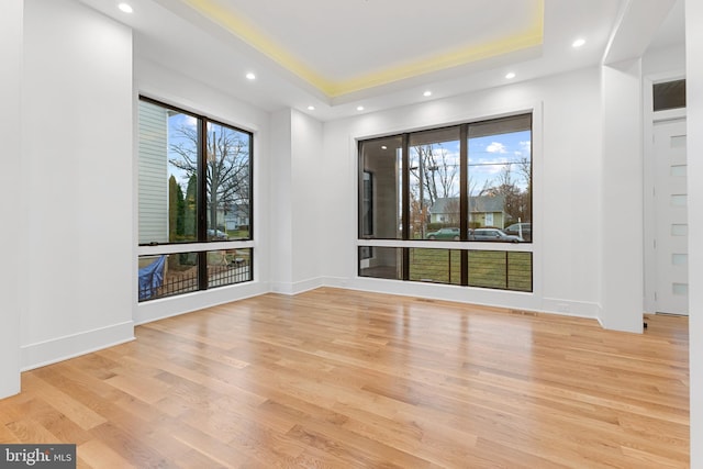 interior space featuring a raised ceiling and light hardwood / wood-style flooring