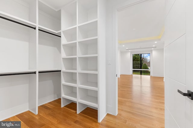 walk in closet with hardwood / wood-style flooring