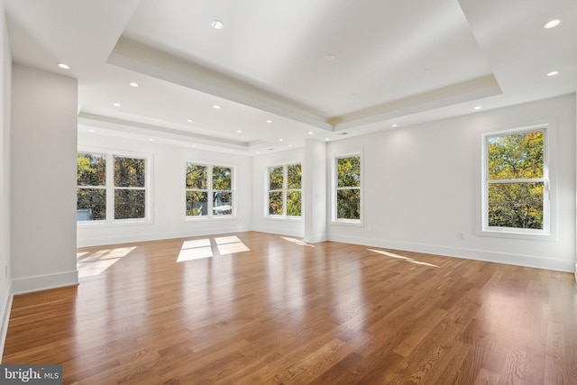 unfurnished living room featuring a raised ceiling and light hardwood / wood-style flooring