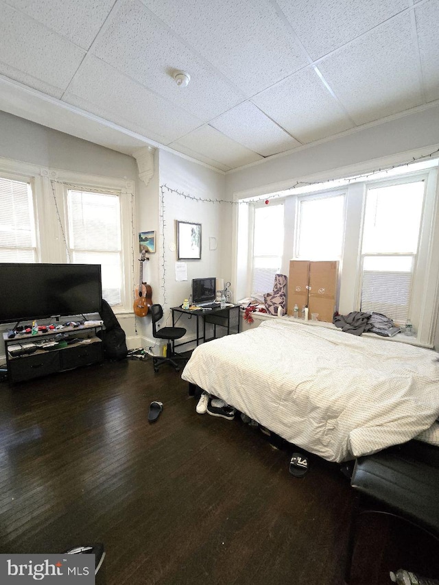 bedroom with wood-type flooring, multiple windows, and a drop ceiling